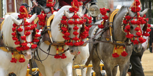Feria del Caballo de Jerez