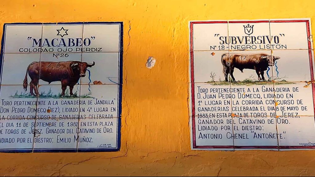 azulejo Subversivo y Macabeo