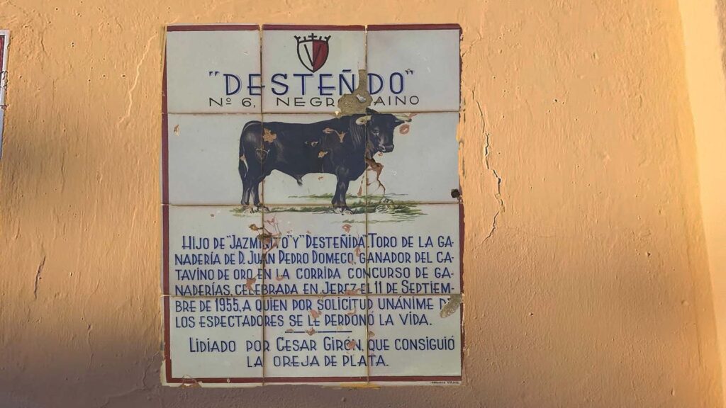 toro desteñido indultado en jerez de la Frontera en el 1955