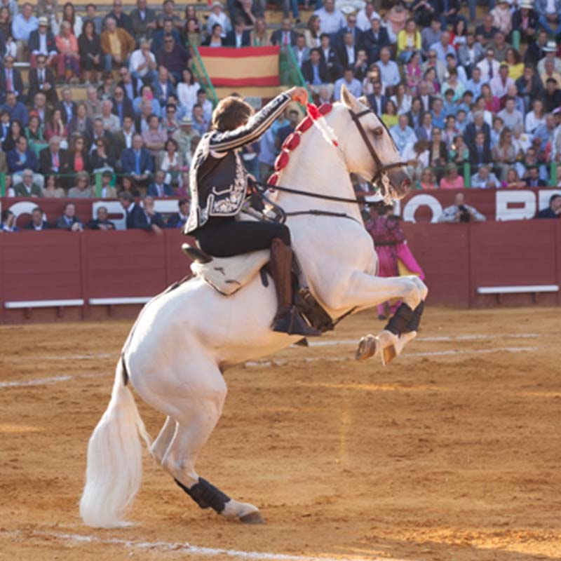 Corrida de Rejones de Jerez de la Frontera