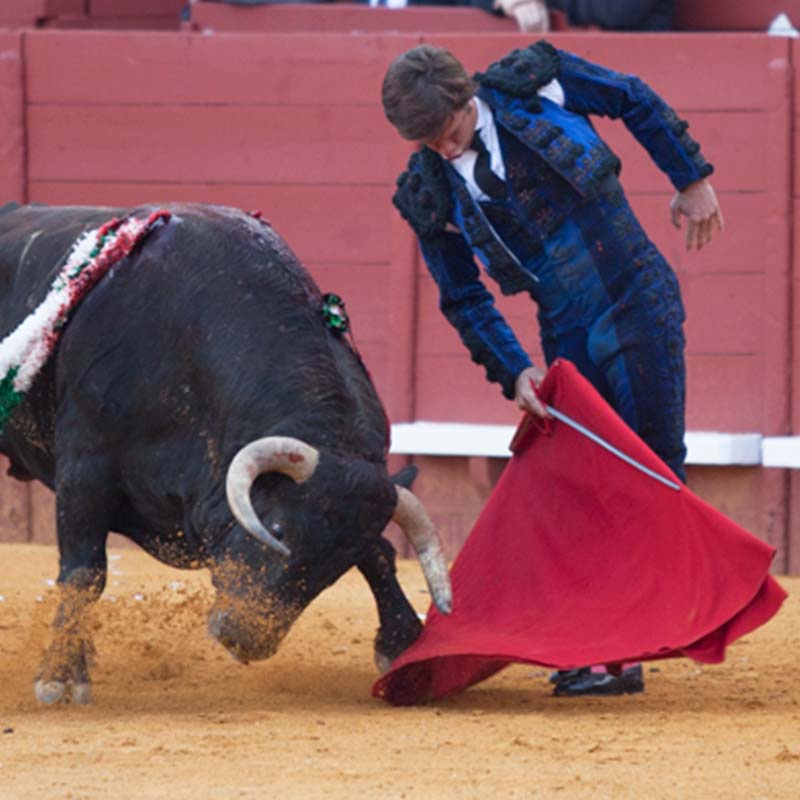 torero en Plaza de toros Jerez