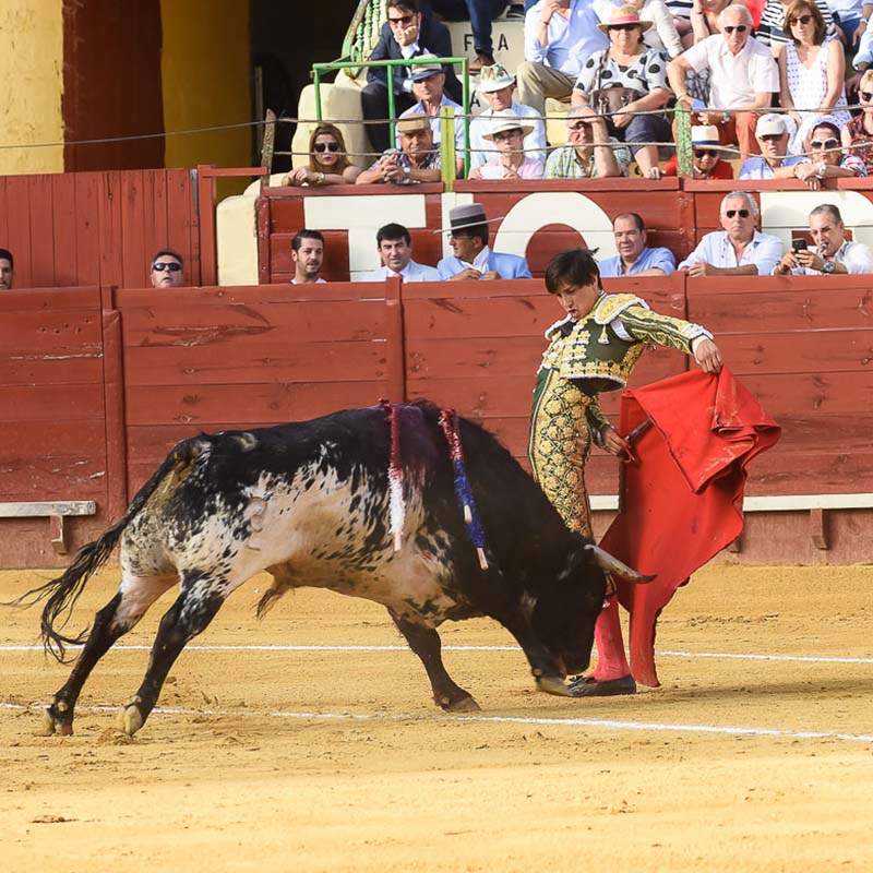 Feria del Caballo