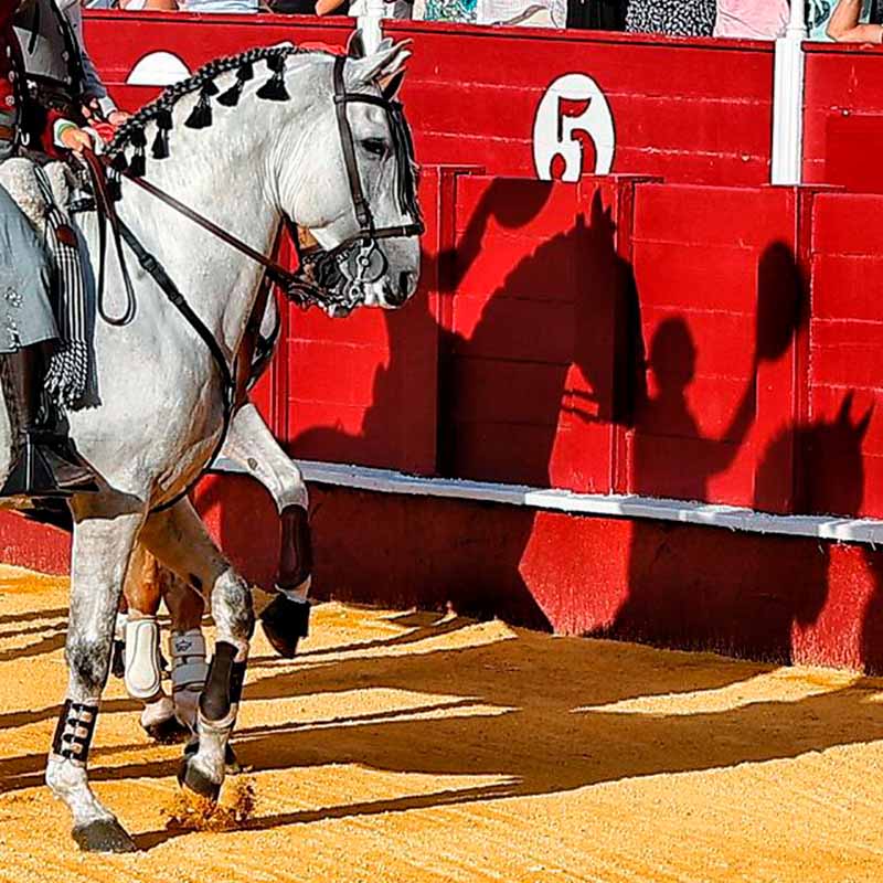 entradas toros Jerez