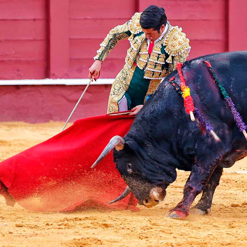 toros en Jerez
