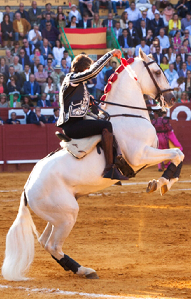 toros en Jerez 2024